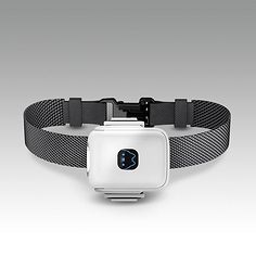 守护毛孩的智者之选 宠物定位器全面解析