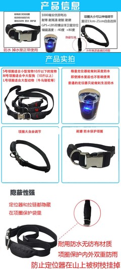 毕节站携手毕节宠物定位器 安心出行每一程